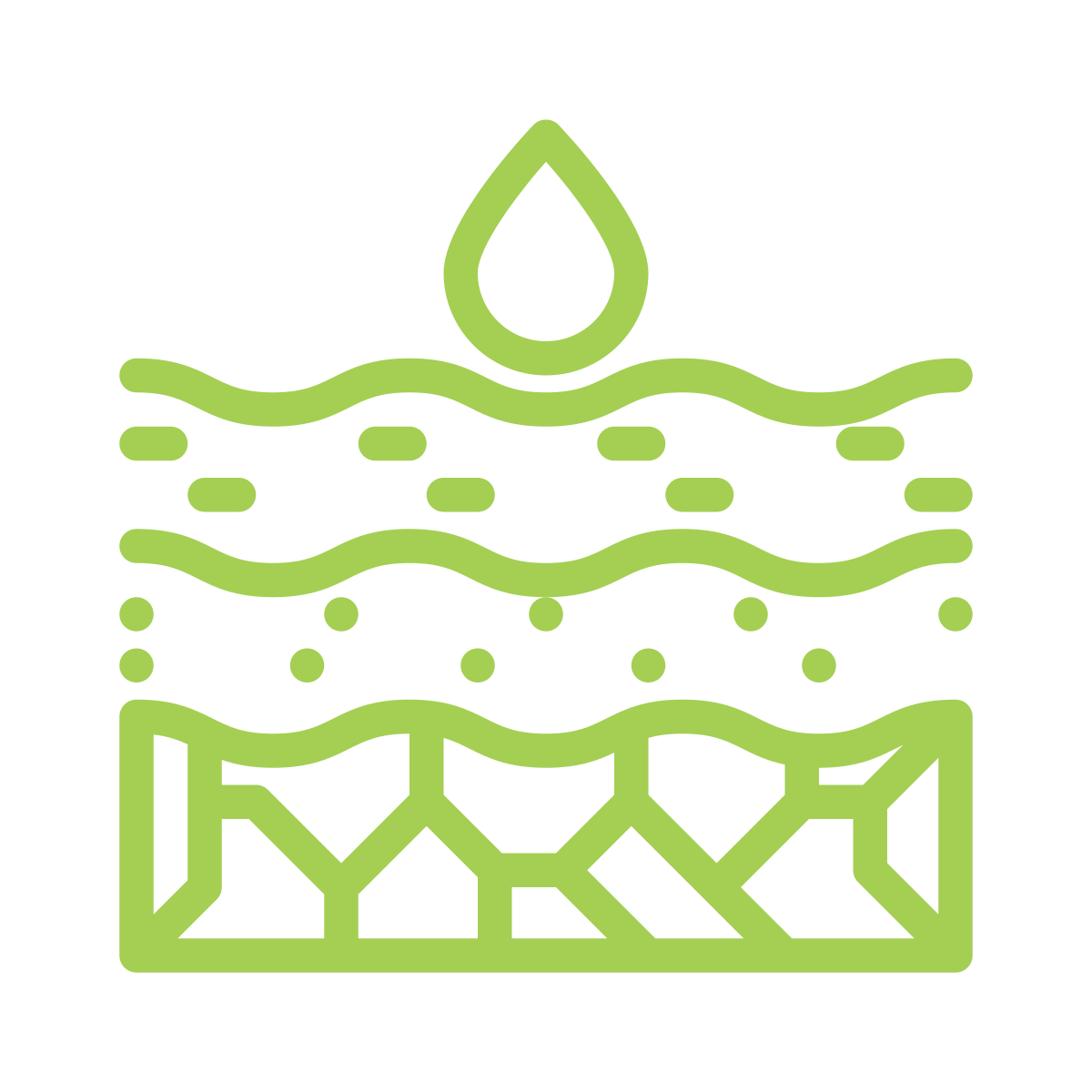 Water and Soil Management Logo